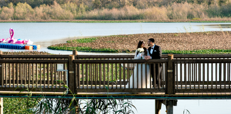 Lake in Park HaAgamim, Rishon LeZion