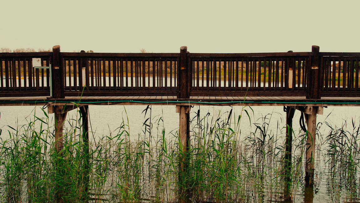 Lake in Park HaAgamim, Rishon LeZion