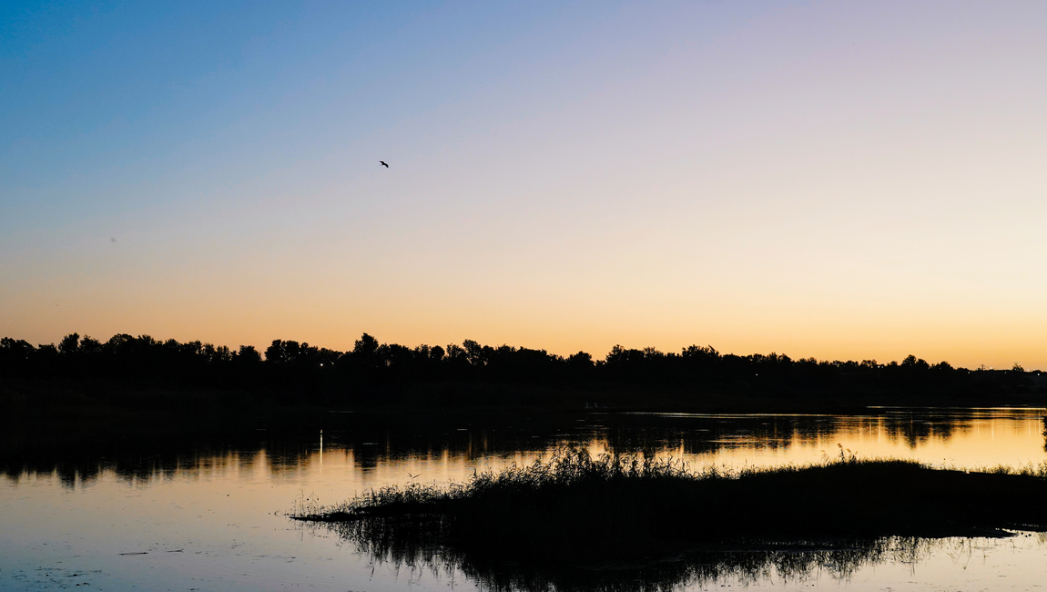 Lake in Park HaAgamim, Rishon LeZion